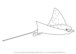 If you would like your poster printed in a specific size, please give us the dimensions (in cm) in. Learn How To Draw A Spotted Eagle Ray Fishes Step By Step Drawing Tutorials