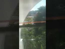 Rincón de guayabitos es uno de los destinos más visitados de la riviera nayarit, especialmente por familias de todos los rincones de méxico. Lnao5xer8zj7tm