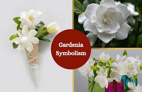 Pin On Plants And Flower Symbols