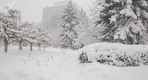 Vremea pe 12 februarie se răceşte şi se întorc ploile şi ninsorile. Prognoza Meteo Pentru Perioada 18 Februarie 18 Martie 2019 Schimbare RadicalÄƒ A Vremii