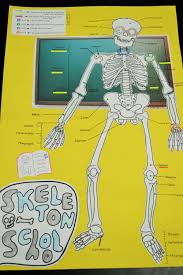 Lesson Plan Skeletal System Project Skeletal System Project Body Systems Middle School Human Body Activities
