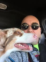 Man rides motorcycle with dogs in buggy