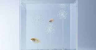minimalist aquariums filled with 3d printed flora by designer haruka misawa colossal misawa aquarium design aquarium