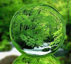 Beautiful Earth Beautiful Green Green Aesthetic Shades Of Green Simple Green