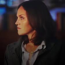 Chris Park Csi Vegas