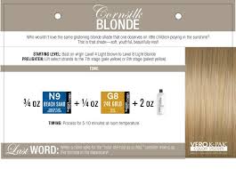 Beth Minardi Color Formulas Blondes Brunettes Reds