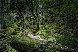 Nackte junge Frau schläft im Wald, lizenzfreies Stockfoto