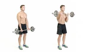 Ez Bar Curl How To Do