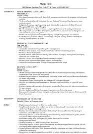 The expertise of an it consultant may be used for various types of projects. Training Consultant Resume Samples Velvet Jobs
