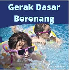 4 Gerak Dasar Berenang Wajib Anda Kuasai Agar Mahir Renang