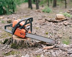 Southland tree service provides the buford area with the best in tree service and tree removal service. Tree Service Removal Buford Tree Trimming Voted 1