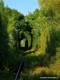 Tunelul dragostei situat in caras severin tunnel of love lake travel. Recomandarea Lunii Tunelul Dragostei Din Caras Severin Romantism Pe Calea Ferata Country Roads Nature Road