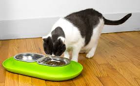 Wet cat food has higher moisture content than dry cat food, which can make it beneficial for cats who require more throw out any wet food that your cat hasn't eaten from his dish within one hour. Cat Bowl Hepper