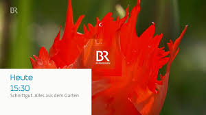 Br Bayerischer Rundfunk Schnittgut 23 April 2018 Facebook