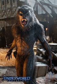 Lycanimposing Werewolf Vampires And Werewolves Underworld Lycans