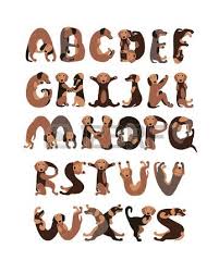 Alphabet Letters In Shape Of Dachshund Dogs Lettering Alphabet Animal Letters Graffiti Lettering Fonts
