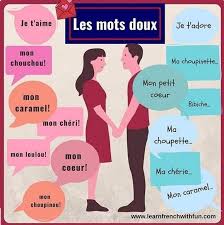 Pin By Ahlam On Francais Vocabulaire Teaching French Learn French Beginner Learn French