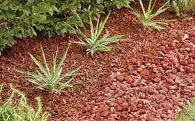 Using rocks to create a border between your house and the lawn serves more than one purpose. Rock Landscaping Ideas That Increase Curb Appeal The Home Depot