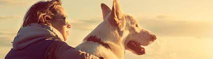 Pet home euthanasia service provides in home euthanasia services for dogs and cats in los angeles, orange county, riverside and the surrounding areas. In Home Euthanasia Services For Cats Dogs Other Pets Central New York