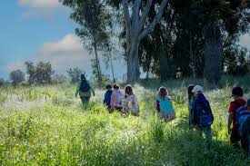Heads Up for Teachers: NatureTrack K-12 Registration for Field Trips Opens  Friday, August 30, 2024