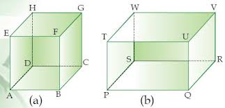 Maybe you would like to learn more about one of these? Langkah Langkah Cara Membuat Menggambar Kubus Dan Balok Berpendidikan Com