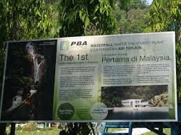 For further information and enquiries, kindly contact the organizer directly. Wild Palm Fruits In The Garden Foto Taman Botani Penang Pulau Penang Tripadvisor
