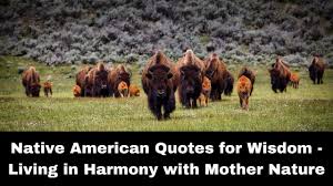 When a man moves away from nature his heart becomes hard. Native American Quotes Of Wisdom For Life How To Live In Harmony With Mother Nature Sayings Youtube