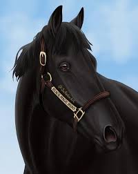 Black Magic Hero By Jullelin On Deviantart Horse Drawings Horse Art Ideas Horse Animation