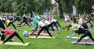 Their organization was established many years ago and is highly valued and respected in their community for providing a warm, safe, and humorous. Saint Petersburg Russia July 13 Stock Footage Video 100 Royalty Free 1033836956 Shutterstock