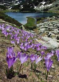 Pirin Mountain Bulgaria Amazing Places On Earth Bulgaria Beautiful Landscapes