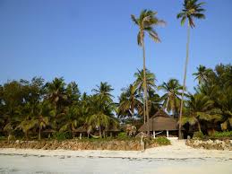 At paradise beach you will experience the best parties, restaurants, bars, activities and the #14 best club worldwide! Paradise Beach Bungalows Paje Updated 2021 Prices