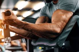 Weider Pro 4950 Reviews What Is It Mybeautygym