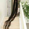 Find & download the most popular woman long hair photos on freepik free for commercial use high quality images over 9 million stock photos. Https Encrypted Tbn0 Gstatic Com Images Q Tbn And9gcrkb Vwewasq0xwwyhxvn0oqnnfe9gc3erx A3ln9i Usqp Cau