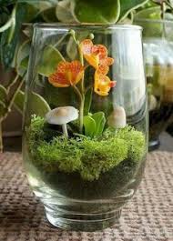 38 Fantastic Ideas For Beautiful Diy Terrariums Ara Home In 2020 Orchid Terrarium Beautiful Terrariums Plants