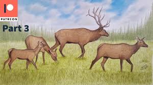 khudair alshehi arts is creating is creating drawing tutorials patreon deer drawing animal drawings drawings