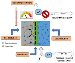 A gradient is any imbalance in concentration, and moving down a gradient just means that the particle is trying to be evenly distributed everywhere, like dropping food coloring in water. Energies Free Full Text Factors Affecting The Performance Of Membrane Osmotic Processes For Bioenergy Development Html