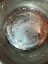 Help What Kind Of Worms Are These Found In My Cats Nearly Empty Indoor Water Bowl R Whatsthisbug