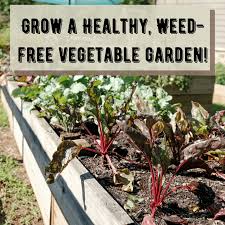 There are two types of compost material: How To Grow A Successful Vegetable Garden Dengarden