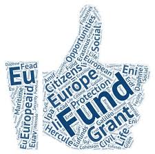 H2020 Msca Cofund 2019 Experts Web Briefing Eu Funding Opportunities And Project Management Tips In 2020 Civil Society Organization Social Finance Grant Application