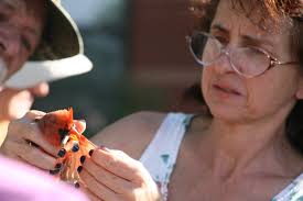 The GGC Bird lab, which includes GGC students and faculty, recently  published a paper in the Journal of the Southeastern Association of Fish  and Wildlife Agencies (2020, 7: 195–201). It shows the