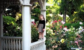 Maybe you would like to learn more about one of these? Scenery Of Park In San Mateo California Global Times