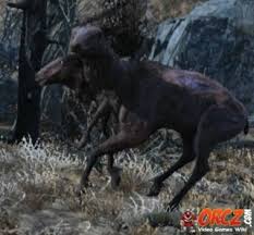 But if forced to fight, it can prove a deadly opponent. Fallout 4 Radstag Doe Orcz Com The Video Games Wiki