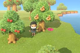For example, by advancing the clock one day, your island will be replenished with fresh items and resources. 12 Animal Crossing Tips Hacks Tricks To Level Up Your Skills Asap