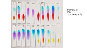 Chromatography Ppt Download