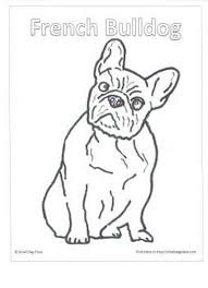 Check spelling or type a new query. French Bulldog Coloring Pages Part 4