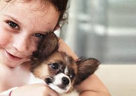 Karen twyning, dvm, founder of pet loss at home, a growing national network of compassionate veterinarians dedicated to private pet euthanasia in the comfort of home. Pet Loss Resources Lap Of Love
