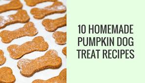 Two types of treats you can create with little fuss are a basic dog biscuit and a trail mix. 10 Homemade Dog Treat Recipes Made With Pumpkin Puppy Leaks