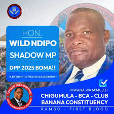 Brendan Weltin Elected Mayor of Bisbee, North Dakota