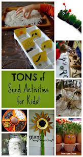 Active indoor activities for toddlers: Tons Of Seed Activities For Kids How Wee Learn