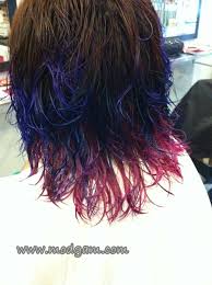 Best purple hair color ideas, including shades for blondes and brunettes and short and long hair love blue and purple? My New Hairdo Dip Dye Colors Modgam S Playground Fashion Food Funfinds